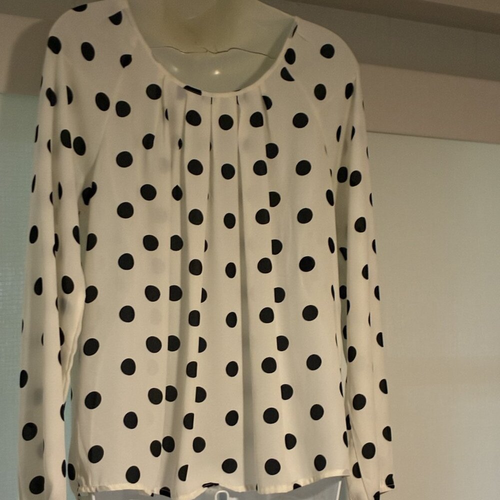 Banana Republic skirt ( size 0)  & white long sleeve polka dot blouse - preloved - Picture 8 of 9
